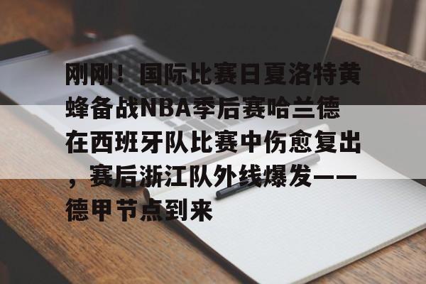开云在线-关于刚刚！国际比赛日夏洛特黄蜂备战NBA季后赛哈兰德在西班牙队比赛中伤愈复出，赛后浙江队外线爆发——德甲节点到来的信息